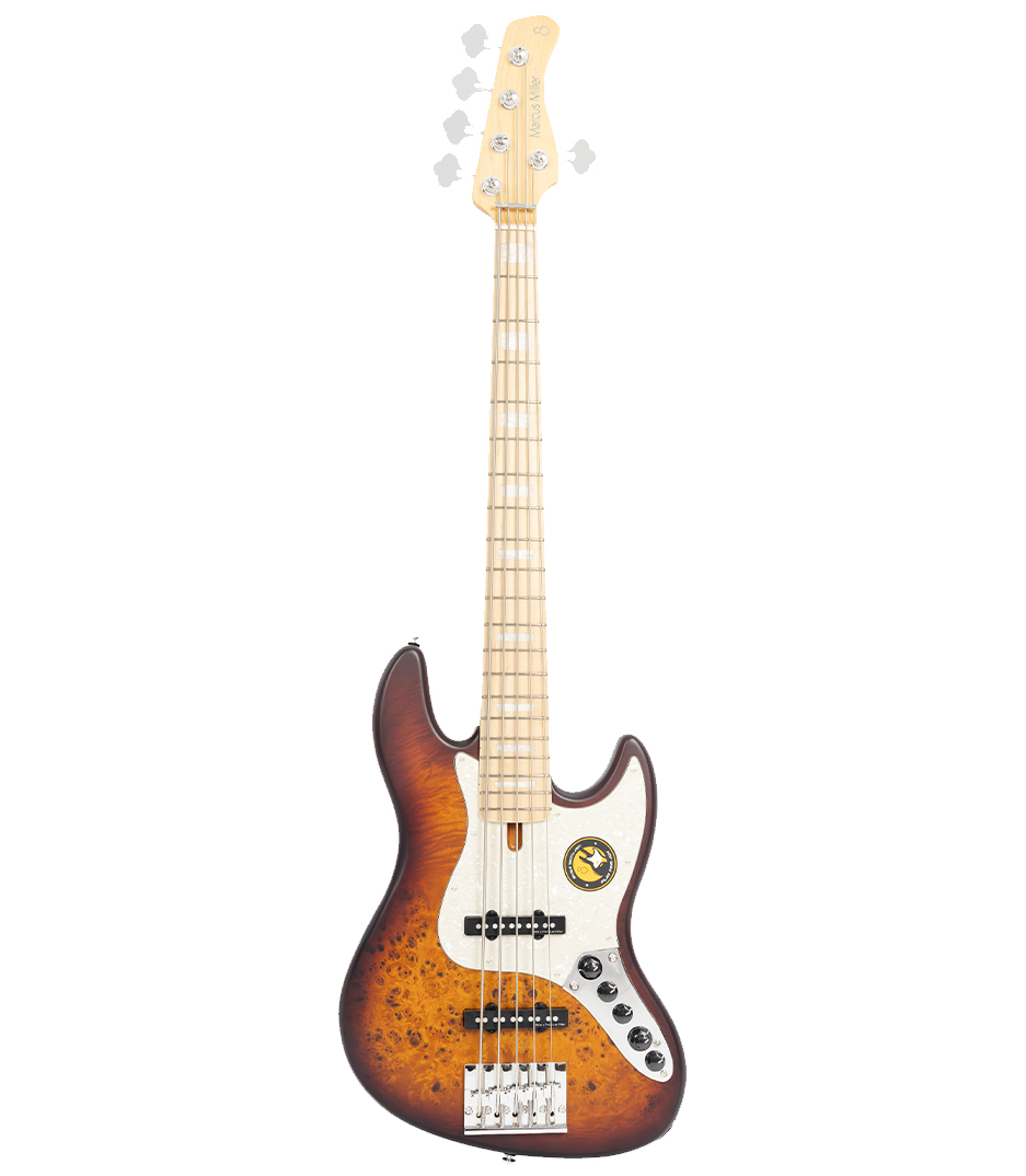 buy V7 SWAMP ASH REISSUE-5 TS.S